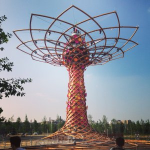 ConsorziVicentiniaEXPO2015