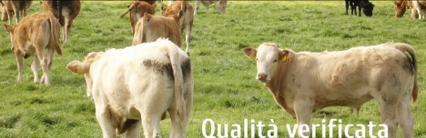 Unicarve Qualità Verificata