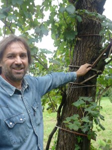 Augusto Fabris, il maestro contadino