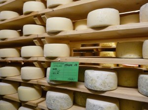 scaffalutura formaggi bio foto Beatrice Tesserin