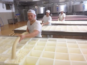 Lavorazine stracchino1