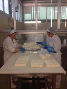 Lavorazione Stracchino