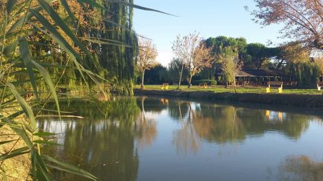 foto Natural Impact Project