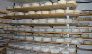 S-cek Segusino Foto Marina Meneguzzi