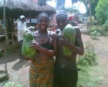 contadini con papaya