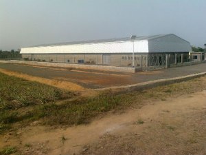 Lo stabilimento Africa Felix Juice a Newton