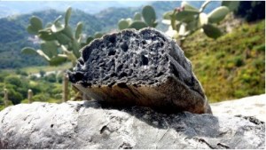 Pane carbone vegetale