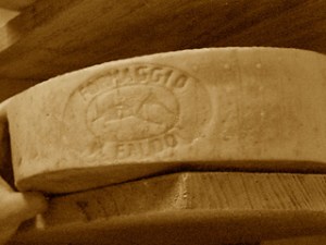 formaggio-monte-faldo