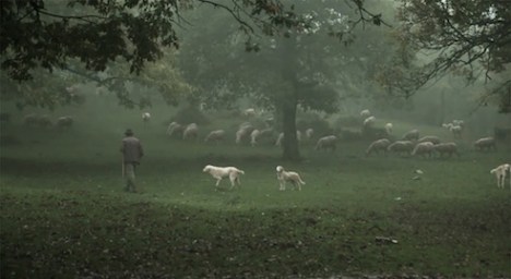 3_PADRONE E SOTTO (300 dpi)