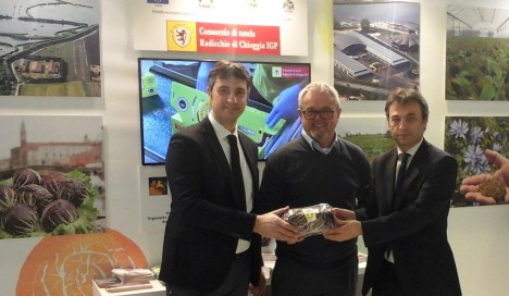 Berlino_2016-Gazzola-Boscolo-Dughiero