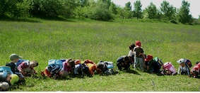 fattorieapertelatterievicentine