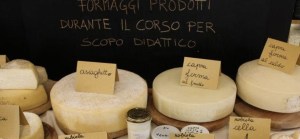 FormaggicorsoPerenzin