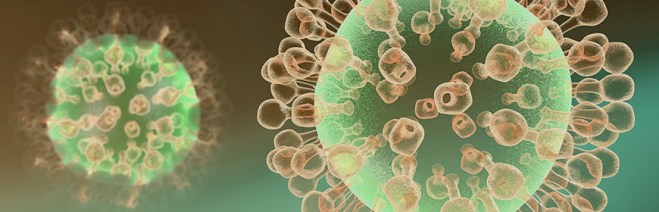 influenza-aviaria-aggiornamenti-italia