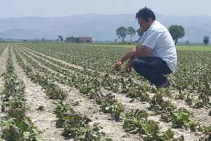 valutazione-dei-danni