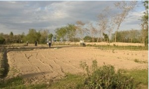 ortisocialiilpresidio