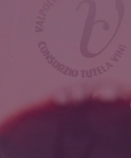 vinivalpolicella