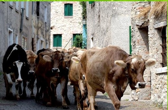 Fiera Rosario prima pagina