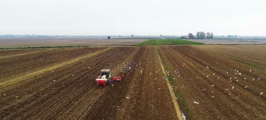 Oasi rachello Portegrandi