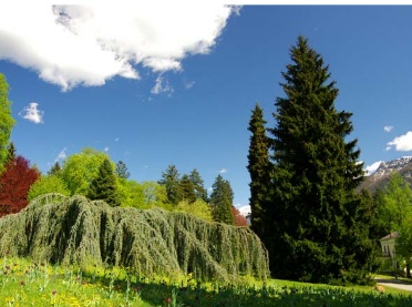 Parco terme Levico