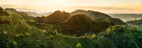 Colline di Farra di Soligo