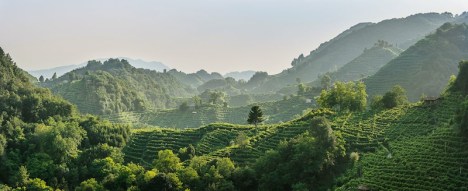 Farra di Soligo Collagu