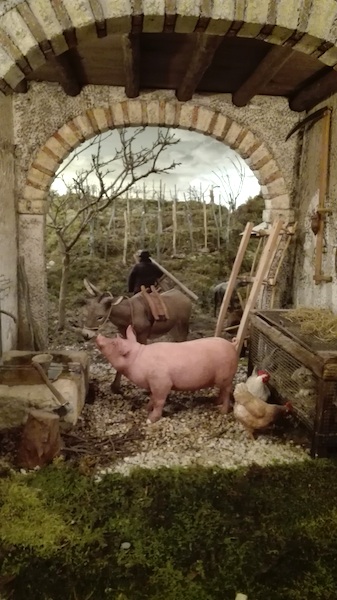 particolare maiale presepio segusino