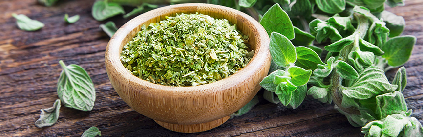 Origano