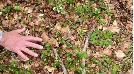 Schermata 2021-05-31 alle 15.29.50