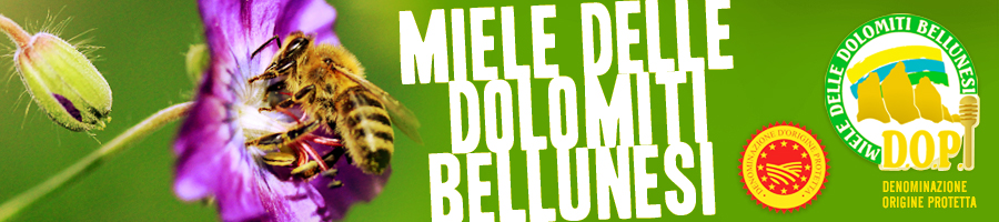 MieledelleDololmitiBellunesi_DOP