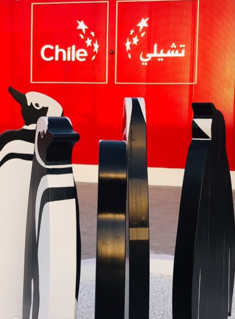 foto pinguini Cile_edited