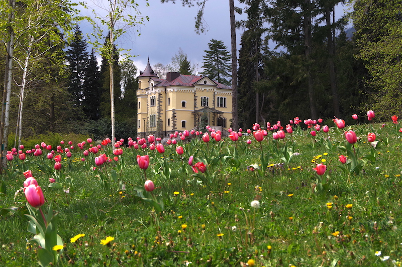 Tulipani_ParcoLevico