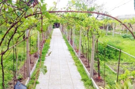 associazione-2-1-500x331