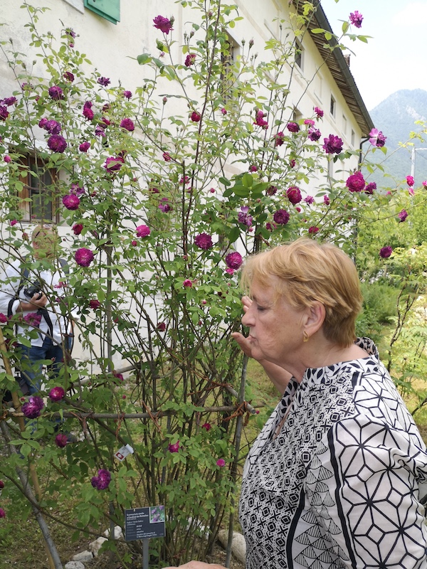 Daniela Perco Museo Etnografico Dolomiti