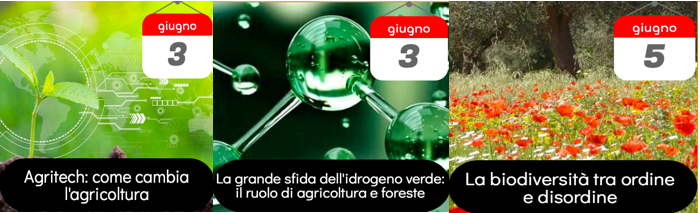 Schermata 2022-06-02 alle 17.49.01