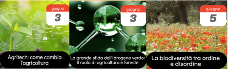 Schermata 2022-06-02 alle 17.49.01