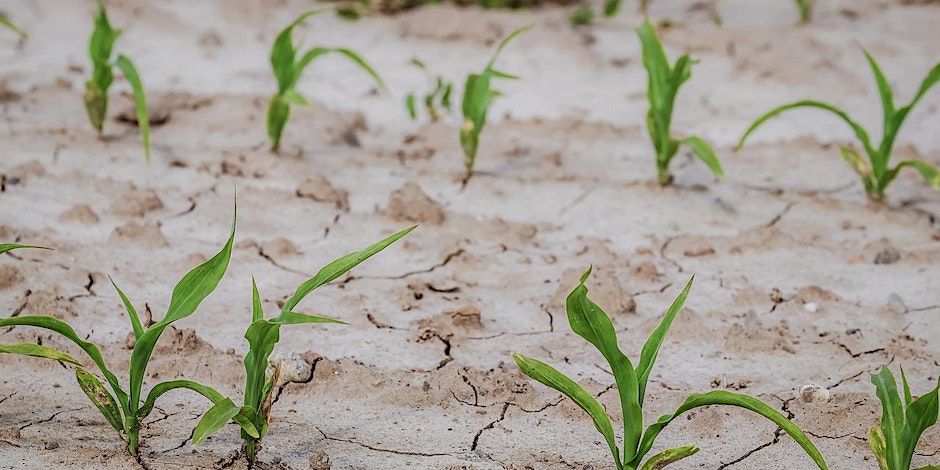 https---cdn.evbuc.com-images-344791429-185919528973-1-original.20220830-161654