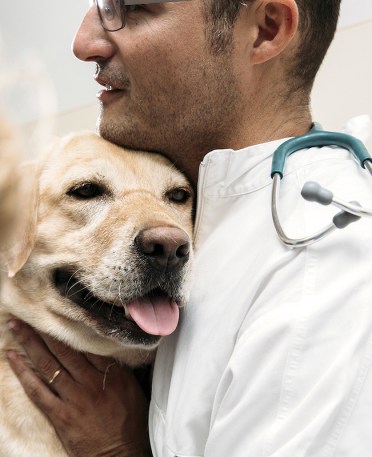 BdS-cane-veterinario