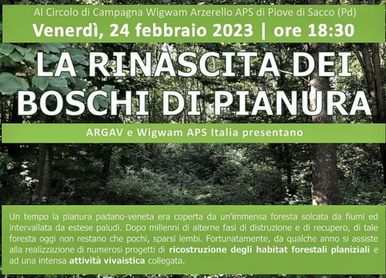 Schermata 2023-02-22 alle 19.09.07