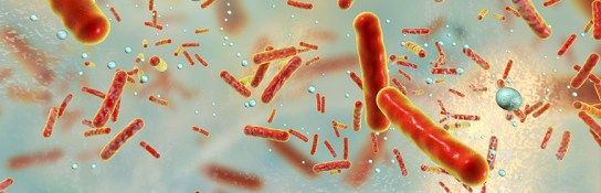 antibiotico-resistenza