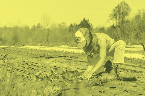 cf0c855d0cf8012a4e248b88f09ec04f374167b64cf57004ba68a5db2c81c4bc