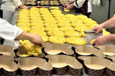 WhatsApp-Image-2023-04-01-at-08.34.50-370x247