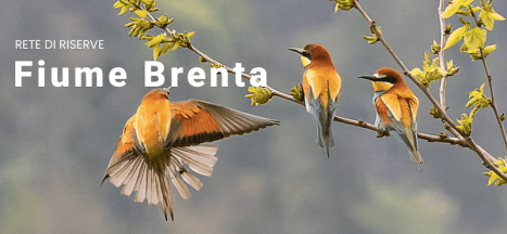 Schermata 2023-07-09 alle 16.48.56