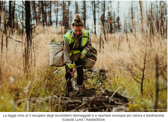 Schermata 2023-07-23 alle 17.31.23