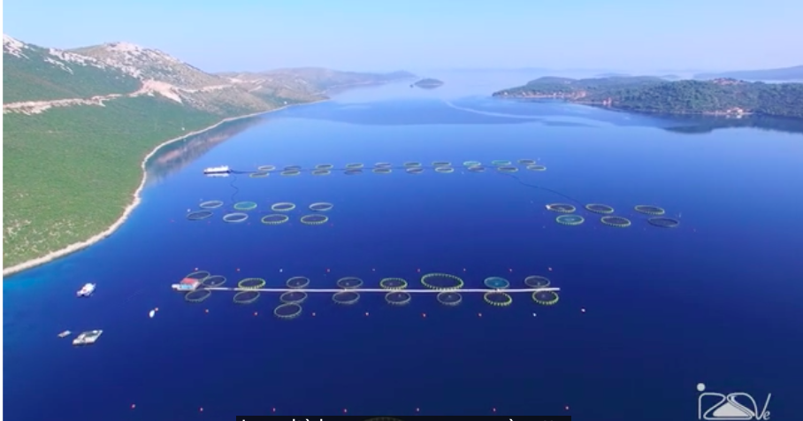 Schermata 2023-10-22 alle 18.27.18