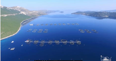 Schermata 2023-10-22 alle 18.27.18