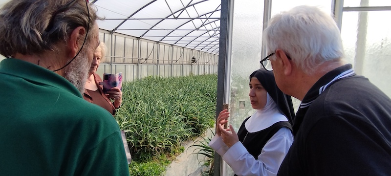 Soci Argav con suora serra