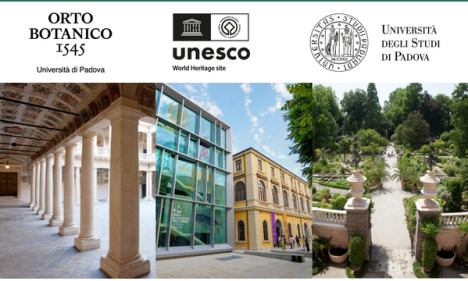 Schermata 2023-12-26 alle 15.55.13