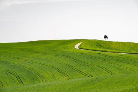 CreteSenesi-SergeBriffaud2023-opt