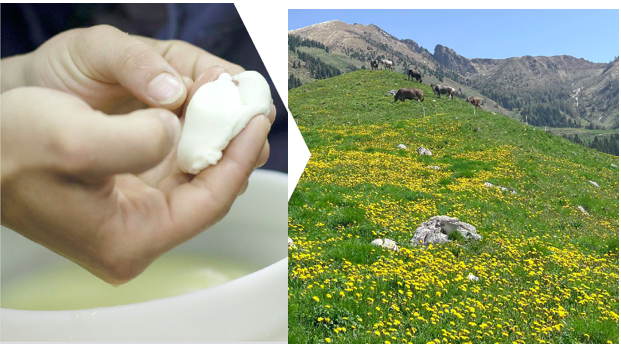 Schermata 2024-02-15 alle 12.10.46