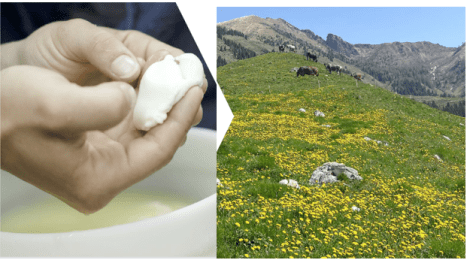 Schermata 2024-02-15 alle 12.10.46